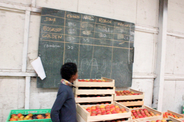 Apple Farm Apple Farm