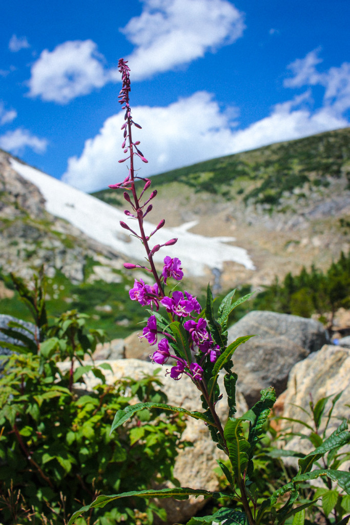 St Marys Glacier Hike Colorado